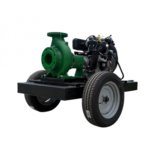 Motopompă Profesională DWP 290 FE – TKF 100-200