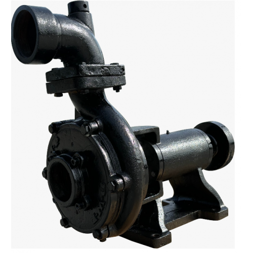 Pompă Centrifugă Autoamorsantă DWP 100T
