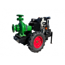 Motopompa Profesionala DWP 290 FE – TKF  65  