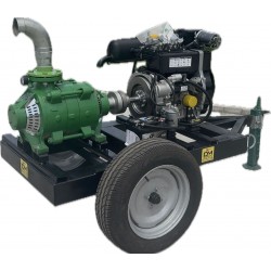 Motopompa Profesionala  DWP 290 FE 65-2   