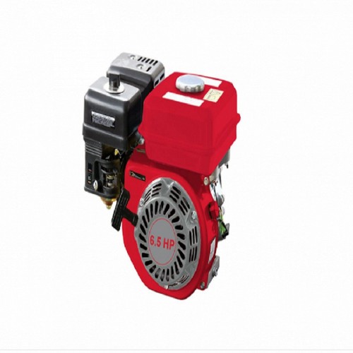 Motor pe benzina 6.5 cp Gardelina